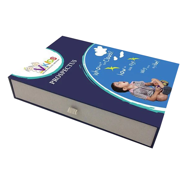 Custom Designed Prospectus Boxes 1