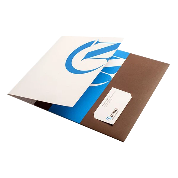 Custom Printed Prospectus Boxes 1