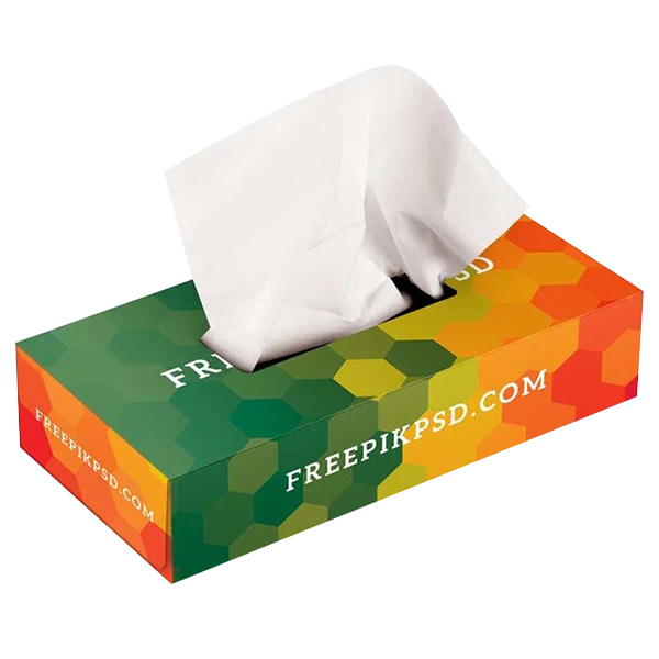 Custom Tissue Printed Boxes4