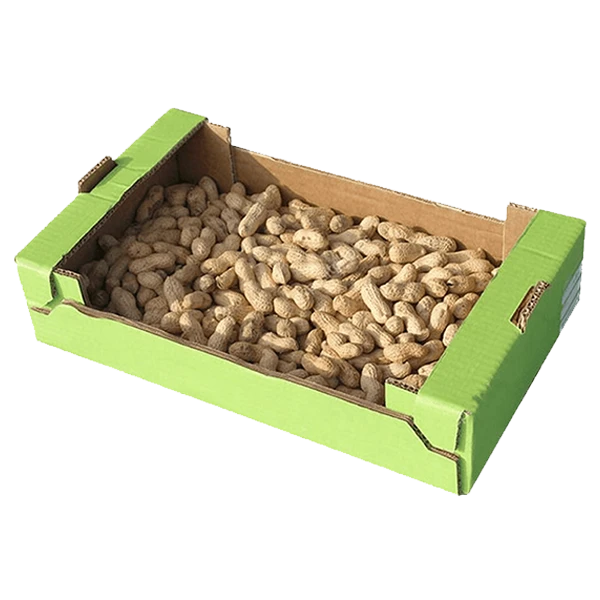 Nuts Boxes