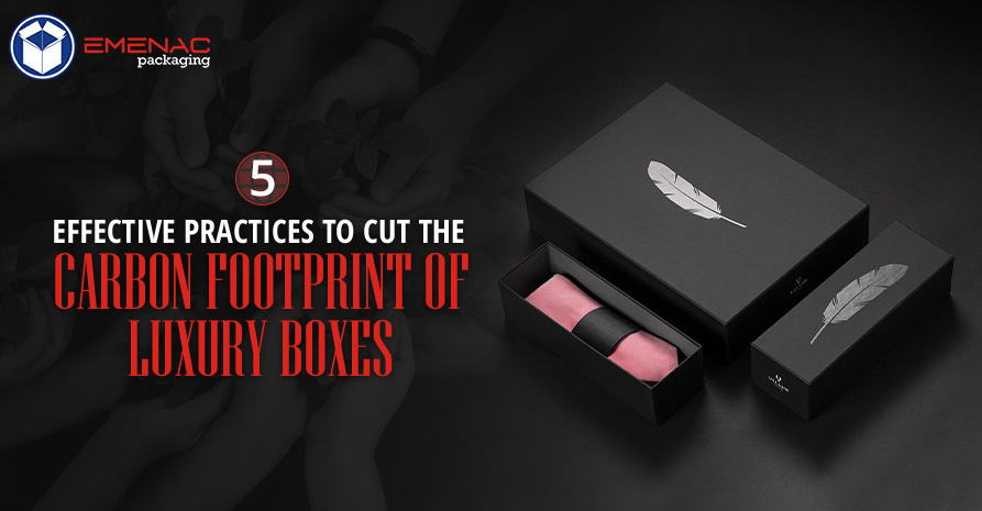 BLOG IMAGE 5 Effective Practices to Cut the Carbon Footprint OF Luxury Boxes EP UK