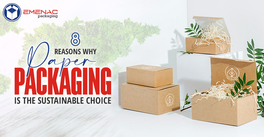 BLOG IMAGE8 Reasons Why Paper Packaging is the Sustainable Choice EP UK
