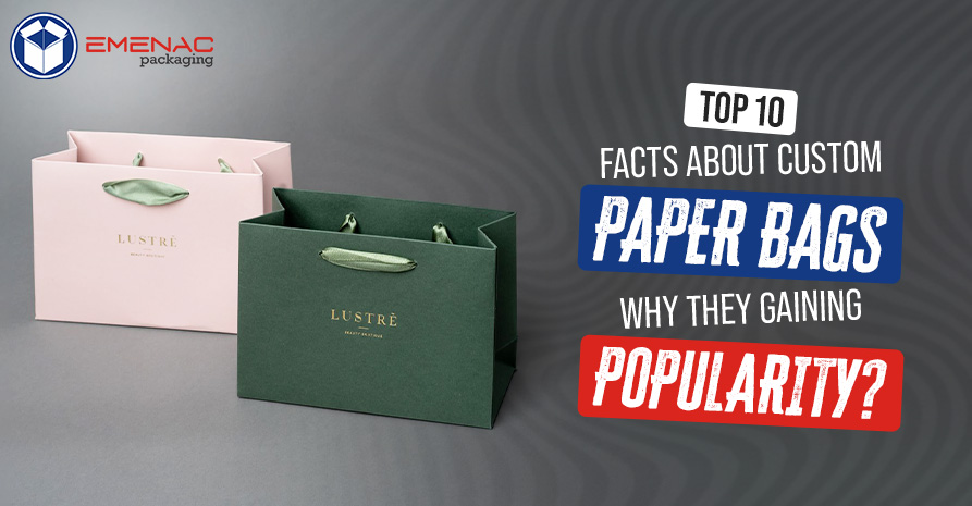 Top 10 Facts About Custom Paper Bags Why They Gaining Popularity EP UK A